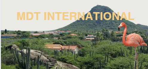 afbeelding voor MDT International informatie ARUBA